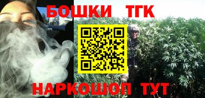 индика Тулун