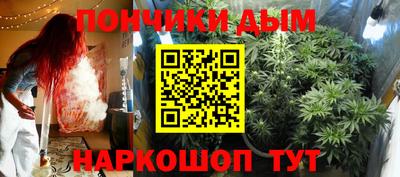 индика Тулун