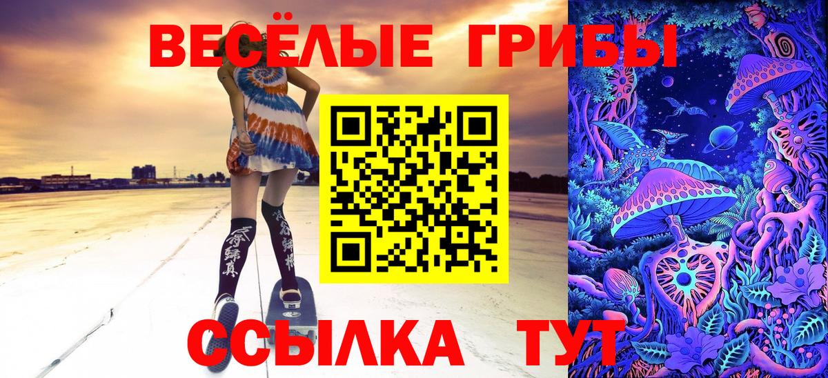 Псилоцибиновые грибы прущие грибы Ногинск