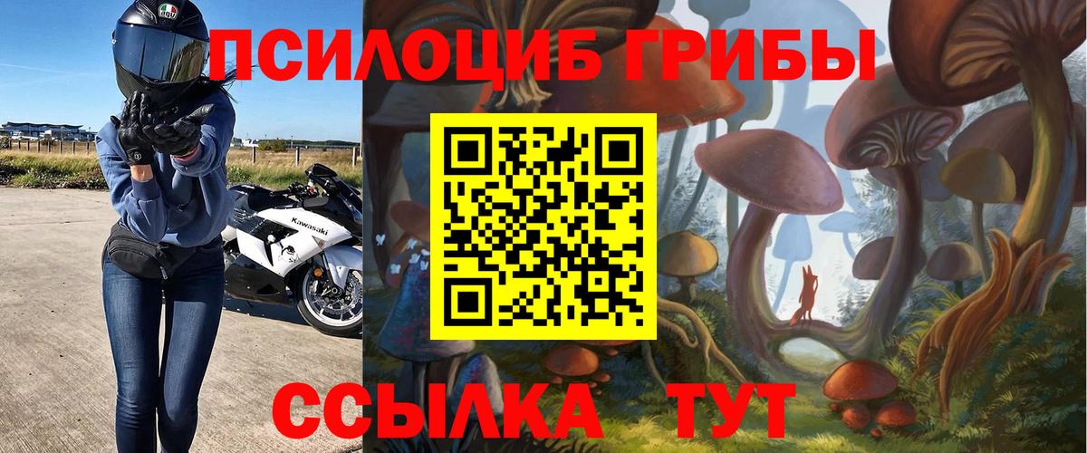 Ногинск  Псилоцибиновые грибы Cubensis  Вход с VPN 