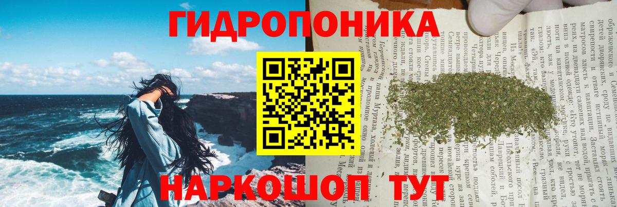 Конопля гибрид Ногинск